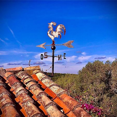 Podere Spartaco San Pantaleo Sole Ruiu Esterno foto